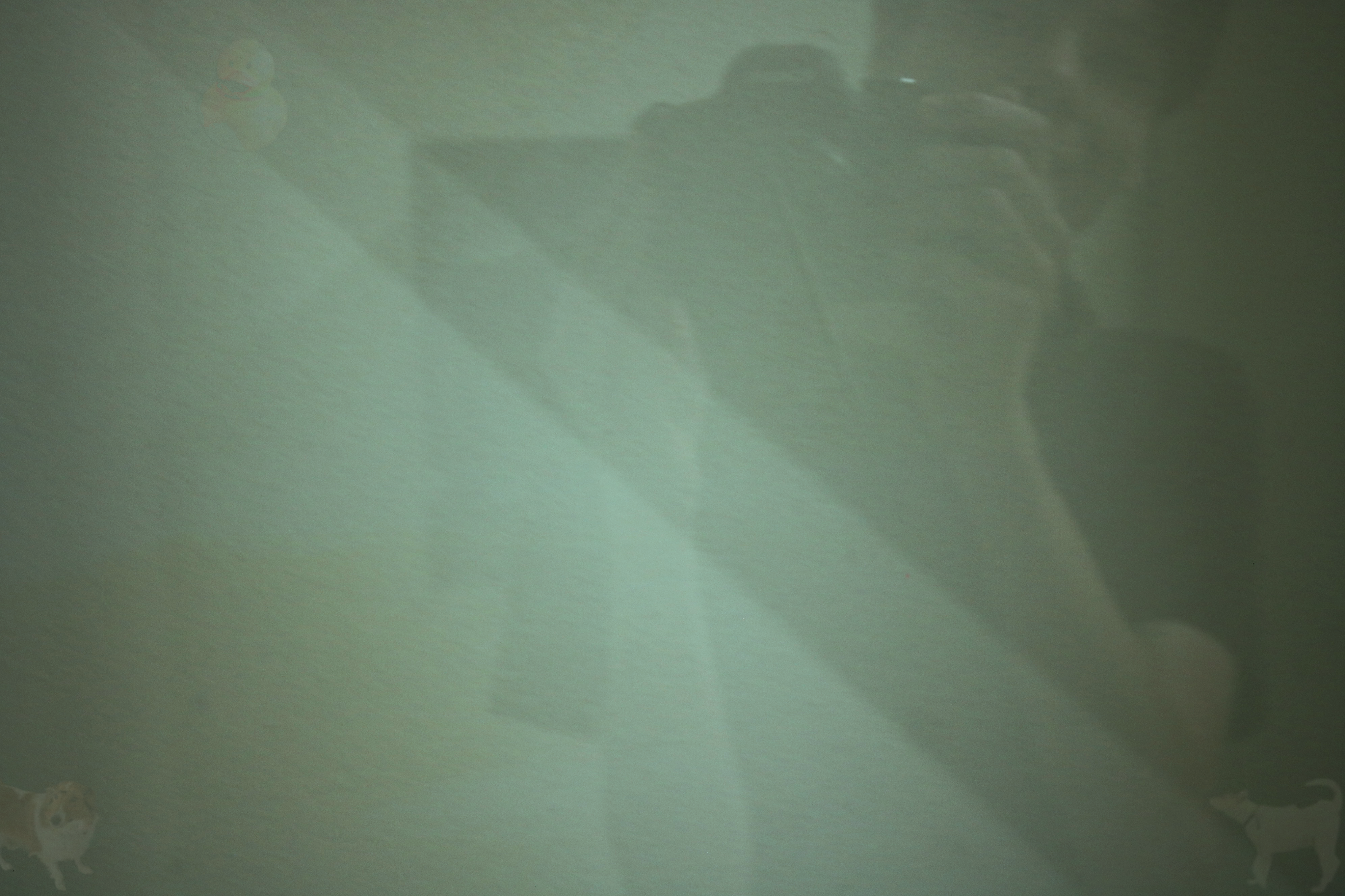 Creative Reflection